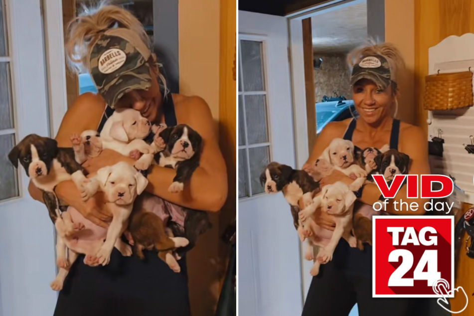 Today's Viral Video of the Day takes quite a mischievous turn as a woman comes home with more pups than planned!