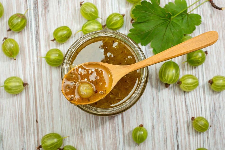 Hellgrün, gelb bis rot - Stachelbeeren verschiedener Sorten weisen reif verschiedene Färbungen auf.