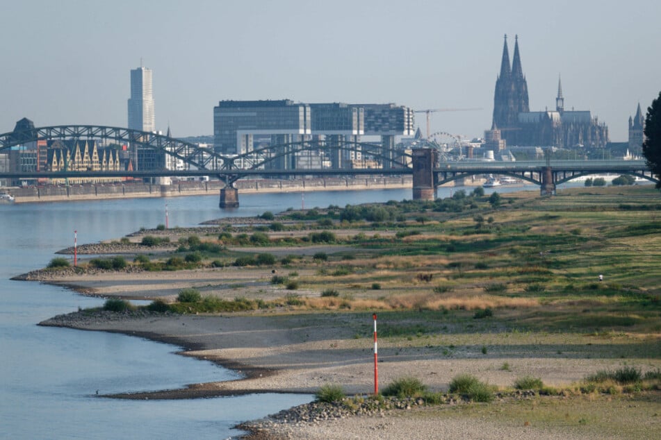 In Köln soll es am heutigen Sonntag bis zu 37 Grad warm werden.