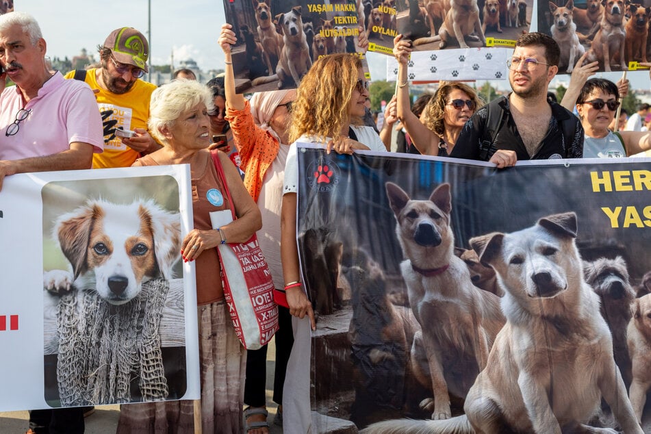 Tierschützer demonstrierten bereits vor Wochen für eine Änderung des Tierschutzgesetzes.