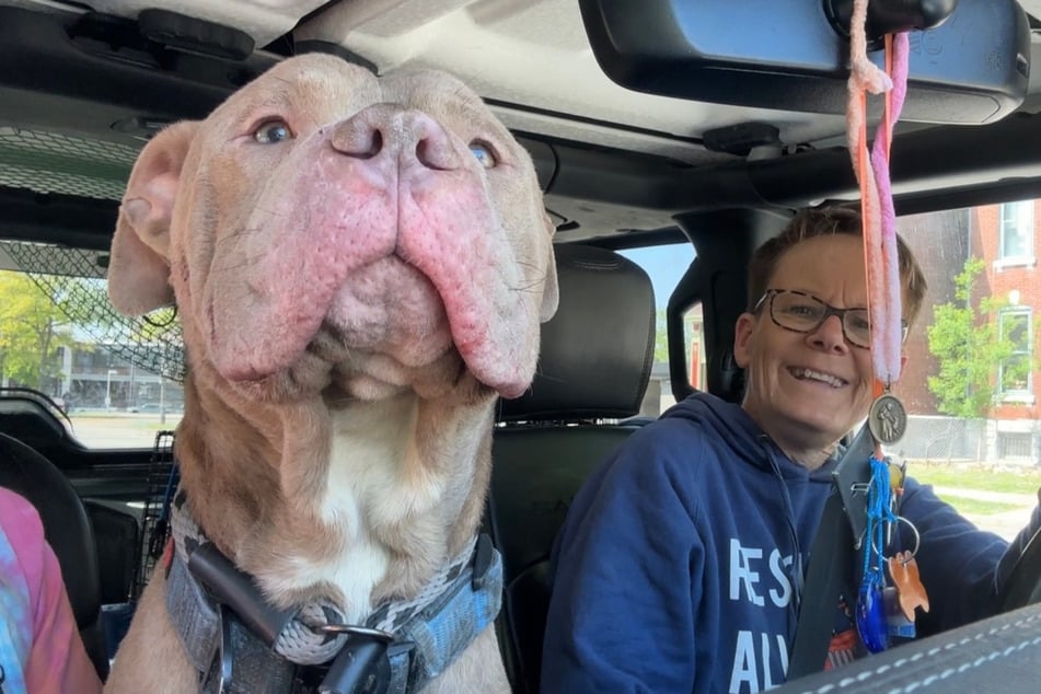 Bereitwillig stieg Orville zu seinen Retterinnen ins Auto.