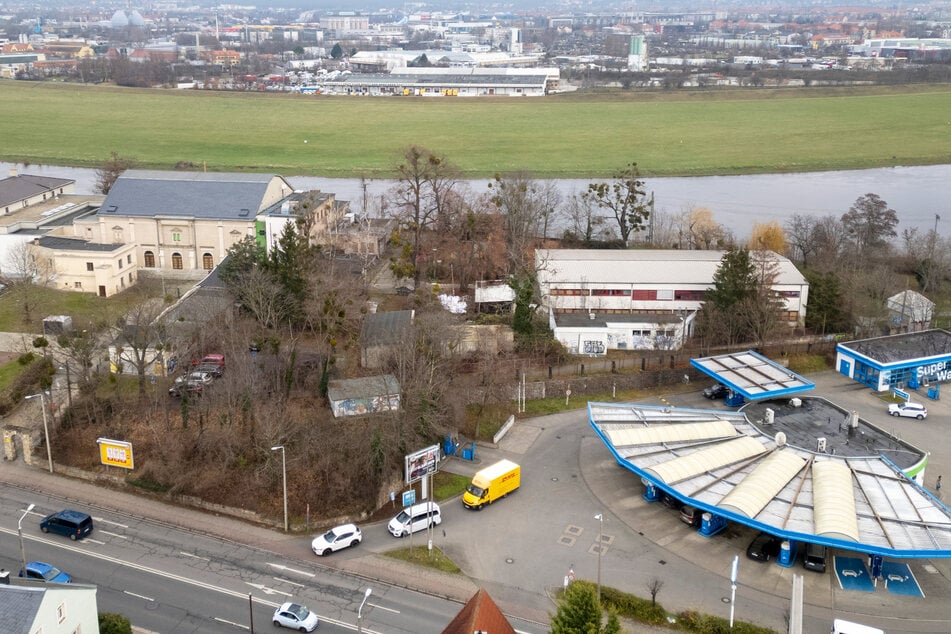 Der Volkspark Briesnitz zwischen Elbe und Meißner Landstraße ist in jämmerlichem Zustand, soll endlich auch als Park gestaltet werden.