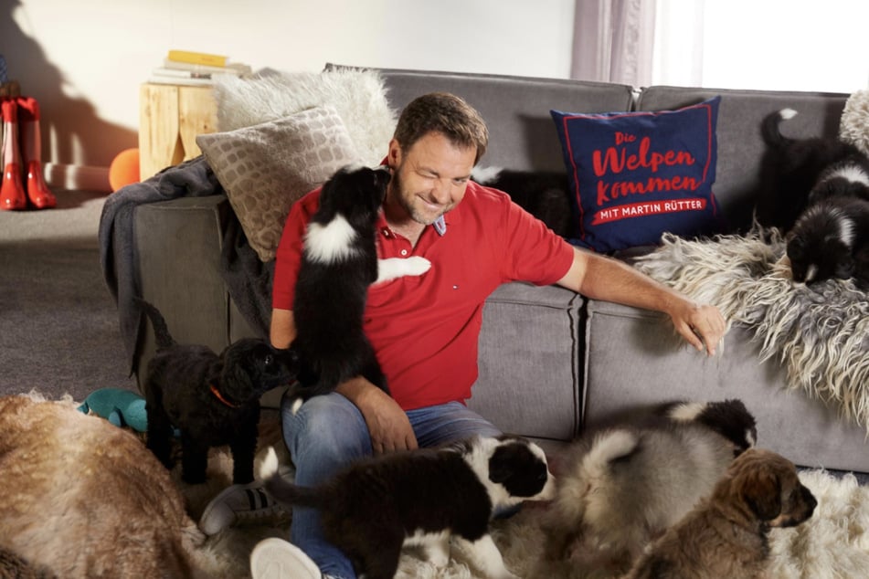 Martin Rütter (53) gibt wieder tolle Tipps für den Umgang mit Hunden.