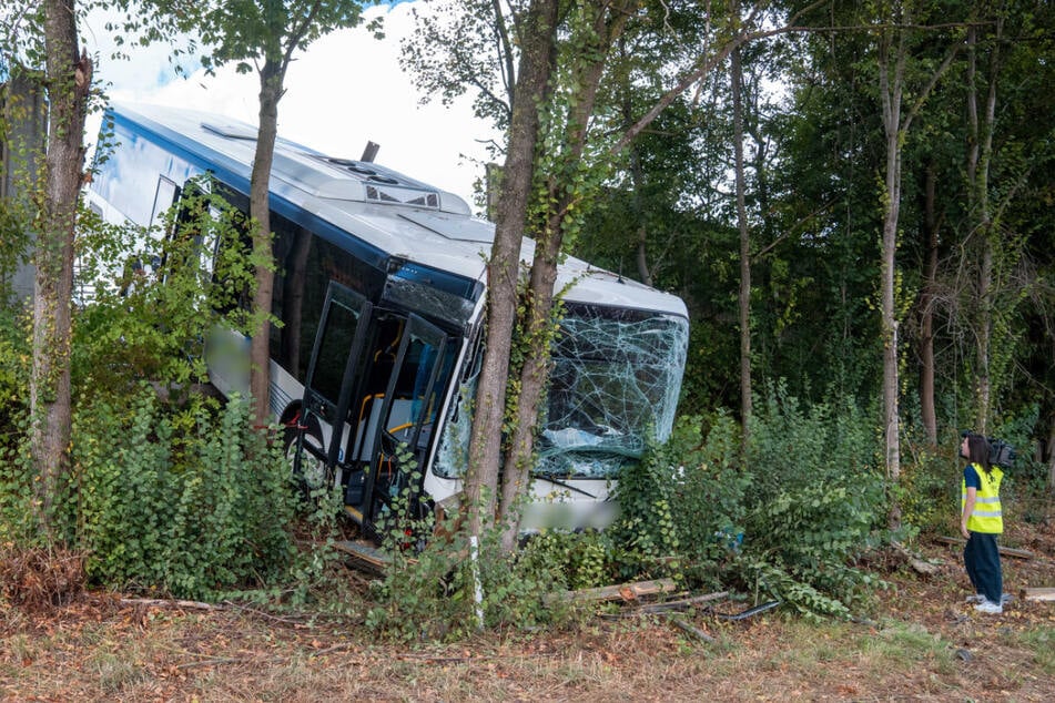 Der eingeklemmte Fahrer musste den Angaben zufolge von der Feuerwehr befreit werden.