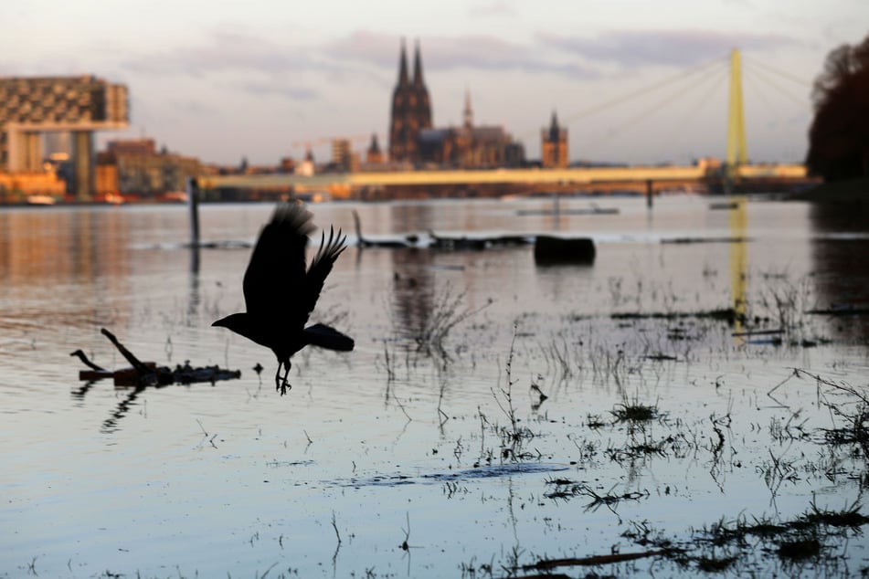 Köln: Hochwasser-Marke II erreicht, Schifffahrt muss ...