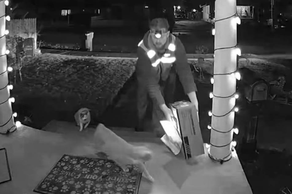 Kade Parson, listonosz, zostaje przywitany przez koty po przybyciu.