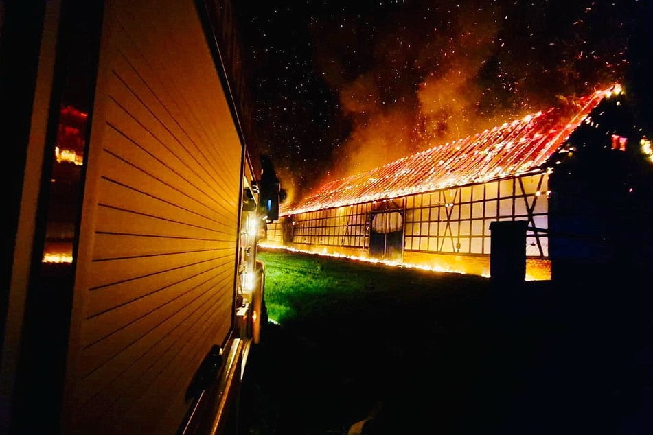 Die Lagerhalle fiel den Flammen zum Opfer.