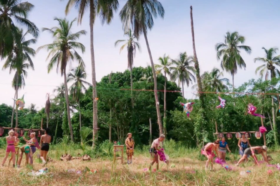 Grund dafür ist nicht nur diese Challenge, sondern auch jede andere. Denn Ginger sei prinzipiell schlecht.