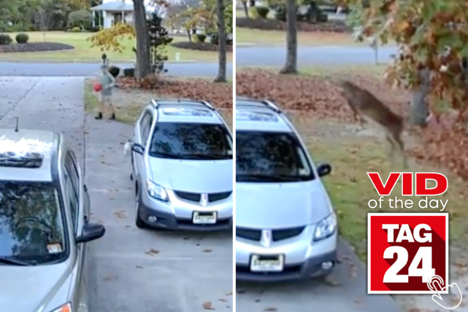 Today's Viral Video of the Day features a deer who shocked a neighborhood after clearing three cars in a driveway!