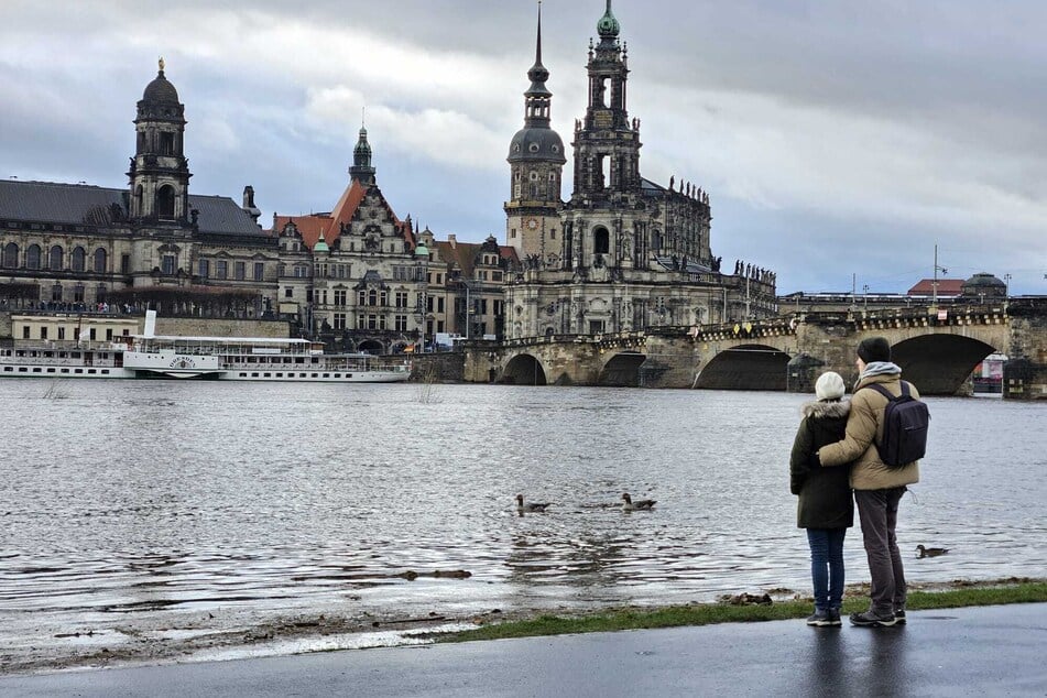 Manch ein Fußgängerpaar bleibt auf dem fast überfluteten Elberadweg am Königsufer stehen und lässt den Blick über die Altstadt-Kulisse schweifen.