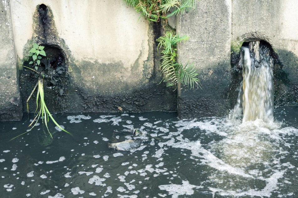 Bei unsachgemäßer Entsorgung können Schadstoffe über das Abwasser ins Grundwasser gelangen.