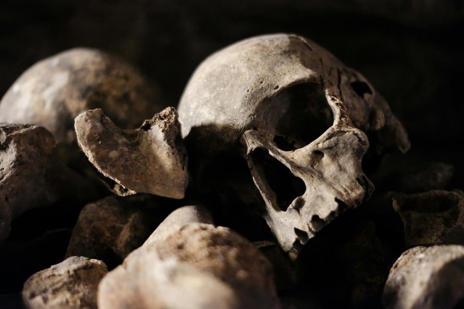 Bones discovered in the UK have revealed the bloodiest known massacre in bronze age Britain. (Stock image)