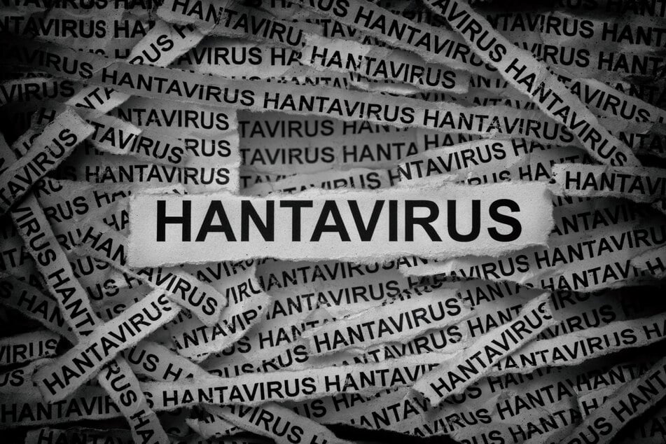 Humans can catch hantaviruses from contact with infected mice or rats or their droppings, or being bitten or inhaling contaminated dust.