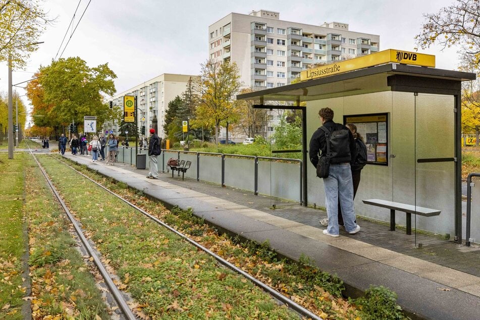 An der Haltestelle Lipsiusstraße am Großen Garten wurde der Rentner vormittags massiv attackiert.