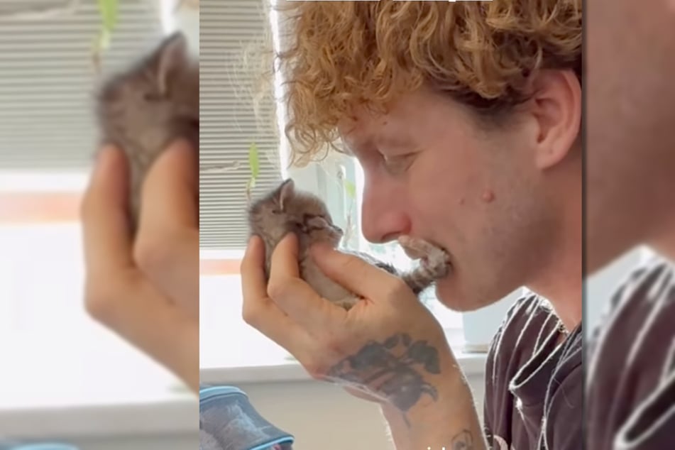 Der Influencer ist bekannt für seinen Einsatz für benachteiligte Tiere.