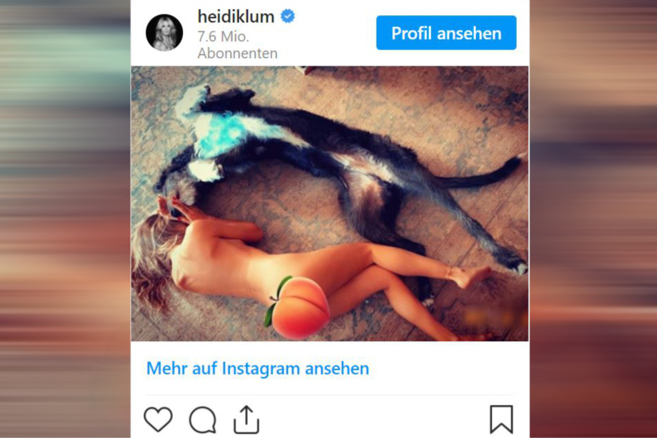 Heidi Klum (47) und Hund Anton kuscheln auf dem Teppich.