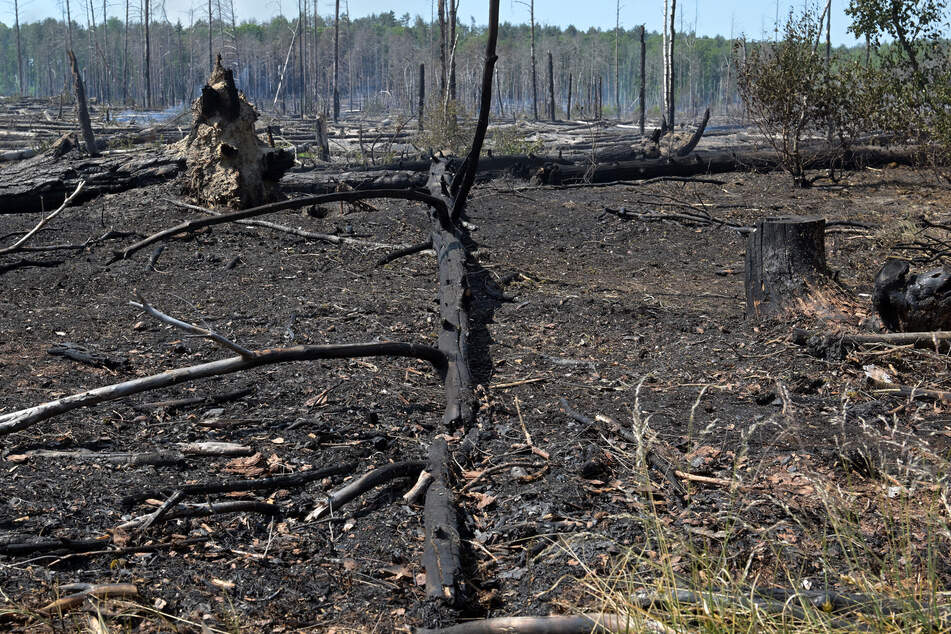 Jüterbog: Waldbrand auf munitionsbelasteter Fläche eingedämmt