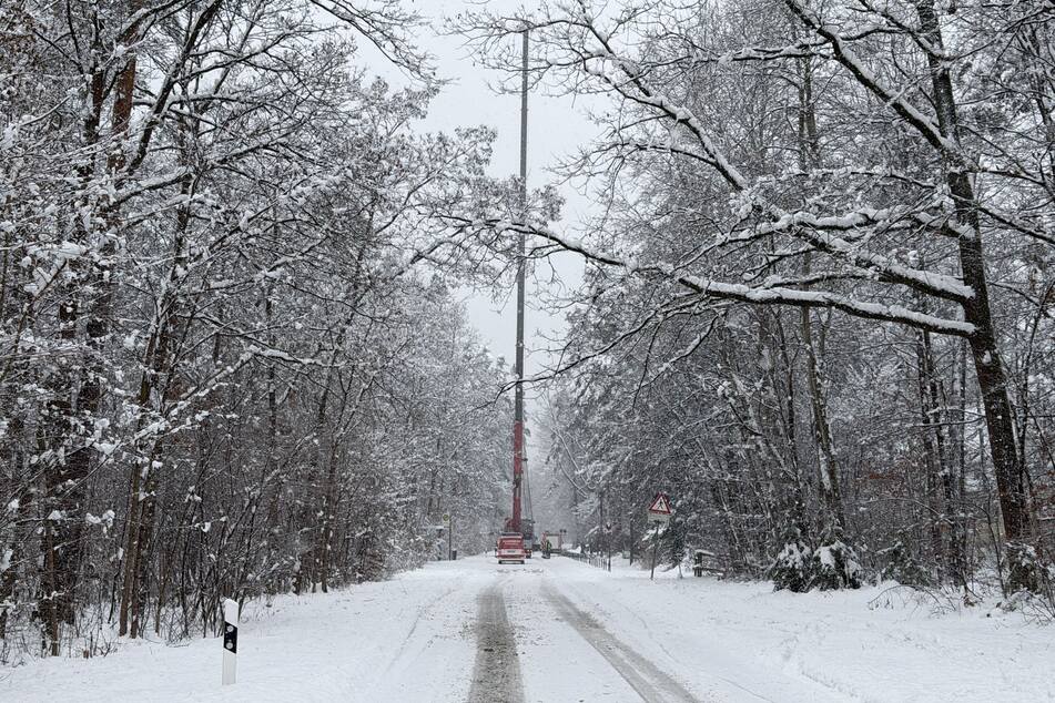 Die Nürnberger Feuerwehr ist im Einsatz und befreit Bäume mithilfe eines Krans von der drückenden Last.