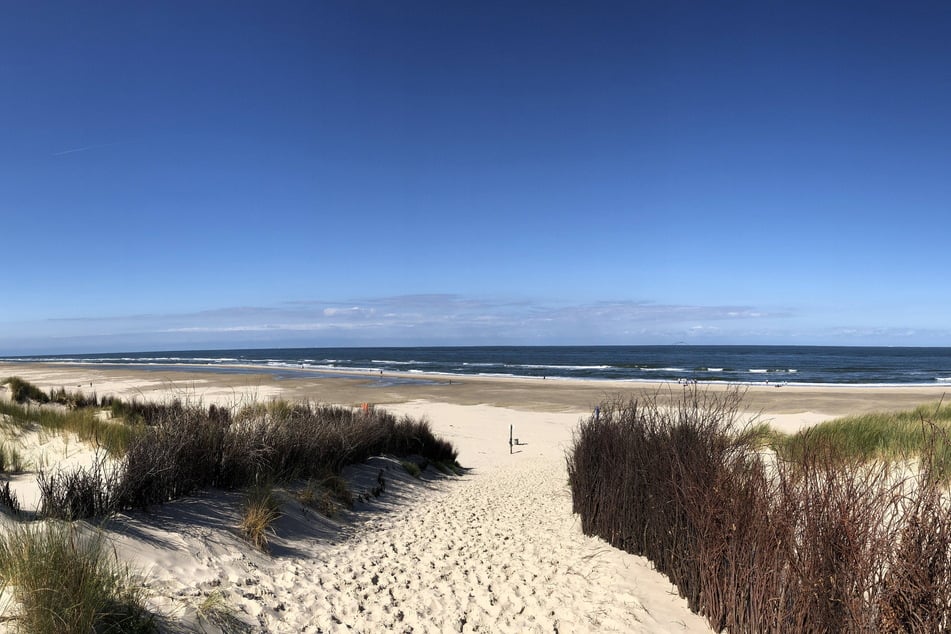 Am Strand von Borkum wurde die Flaschenpost angespült. (Symbolbild)