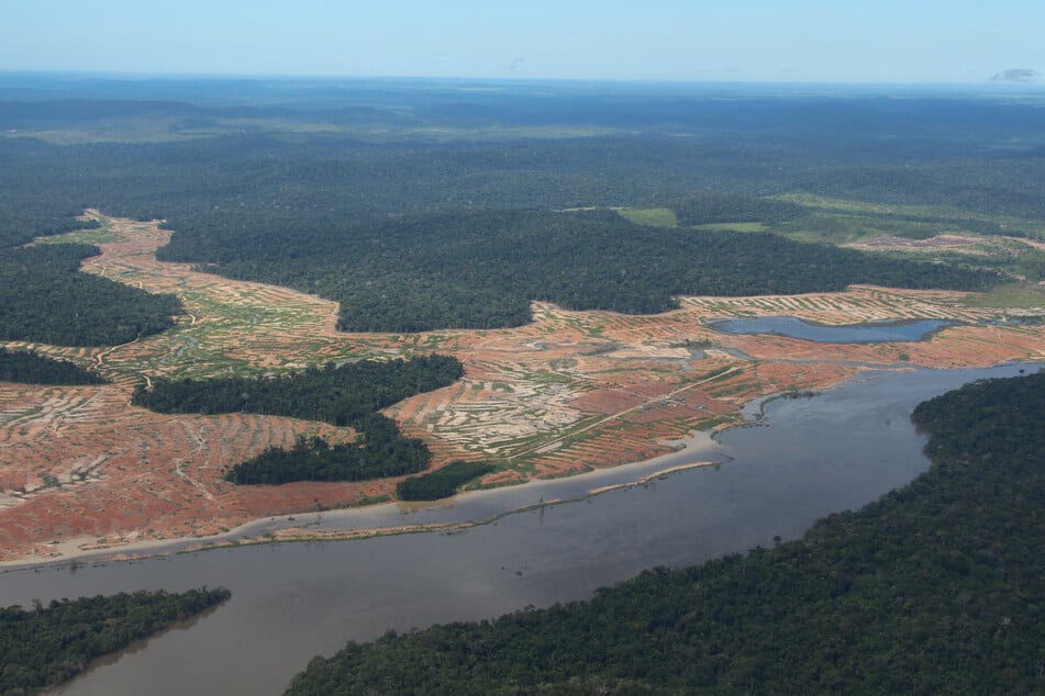 Entwaldete Waldflächen am Rande des Juruena-Nationalparks im Amazonas-Regenwald.