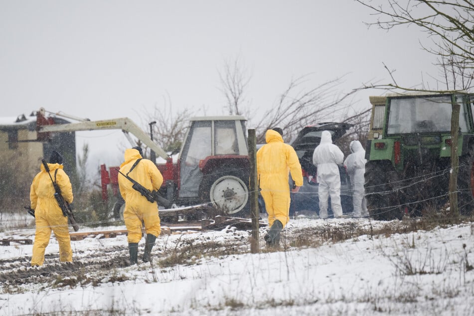 Für den Menschen ist MKS ungefährlich, dennoch kann er das Virus übertragen, weil es beispielsweise an der Kleidung haftet.