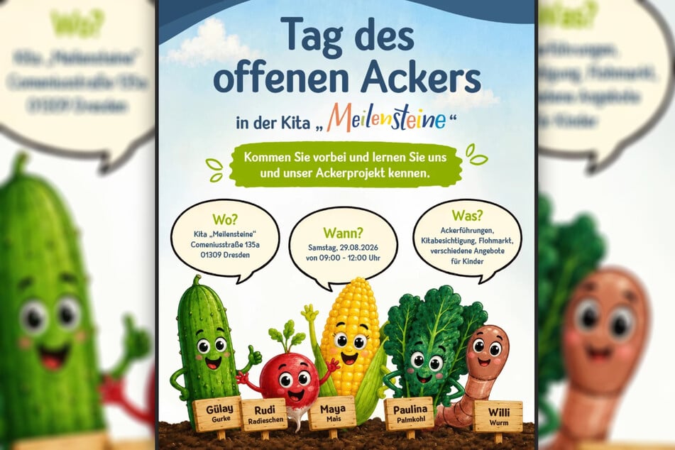 Die Kita "Meilensteine" lädt am 29. August zum Entdecken ihres Ackerprojekts ein.