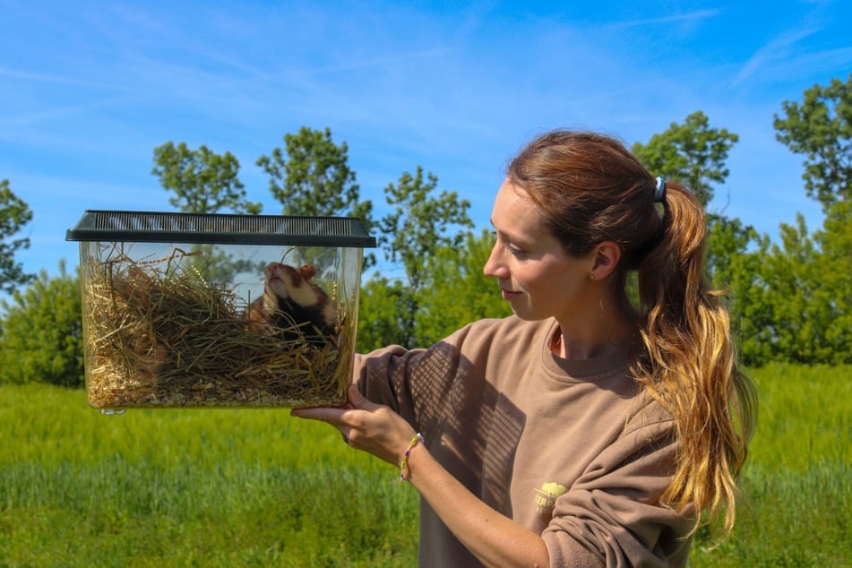 Der Erhalt der vom Aussterben bedrohten Tiere ist auch für den Menschen wichtig.