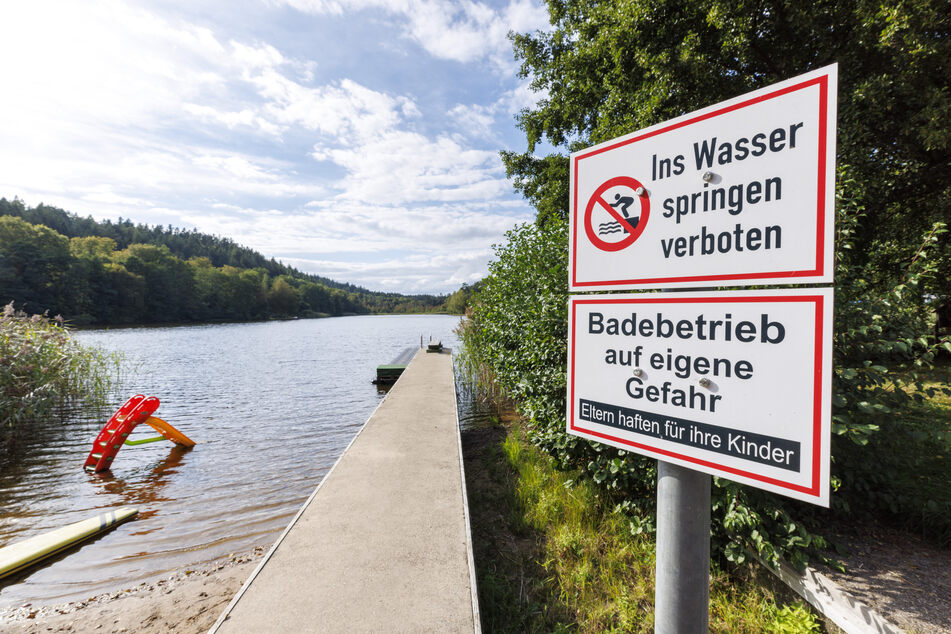 Der Gelterswoog bei Kaiserslautern gilt als idyllischer Badeort mit Campingplatz, Naturschutzgebiet und mehreren Vereinen. Doch ein Problemfisch sorgt für Unruhe.