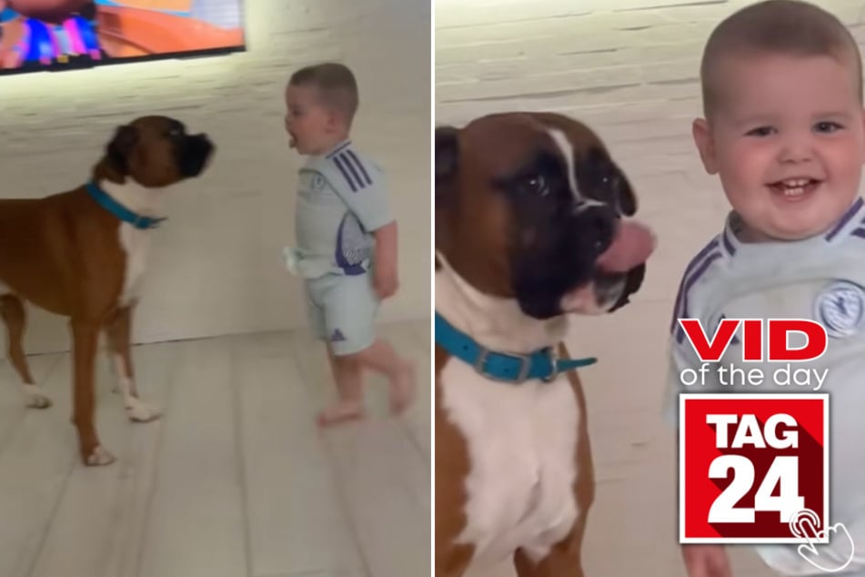 Today's Viral Video of the Day features a mom who caught her son and dog's interesting way of greeting each other.