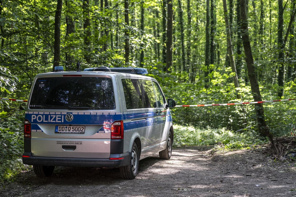 In diesem Waldstück am Rand von Döbeln fand die Polizei die Leiche des Mädchens. Nun konnte der mutmaßliche Täter festgenommen werden.