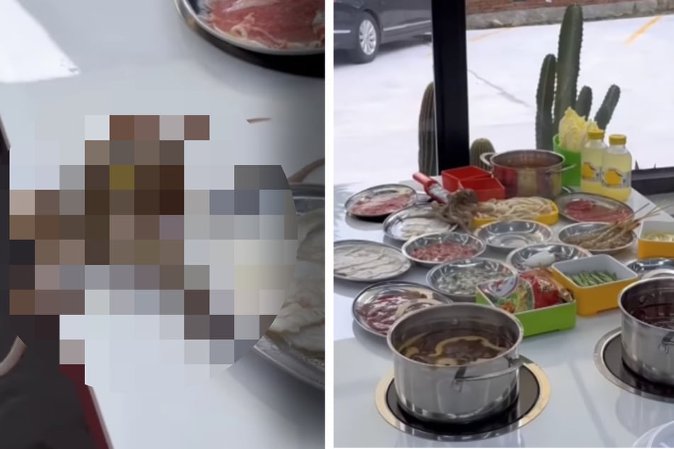 Bizarre Speise: Dieses Ekel-Essen spaltet das Internet