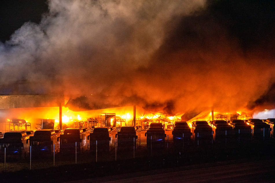 Etliche Busse standen in der Nacht in Flammen.