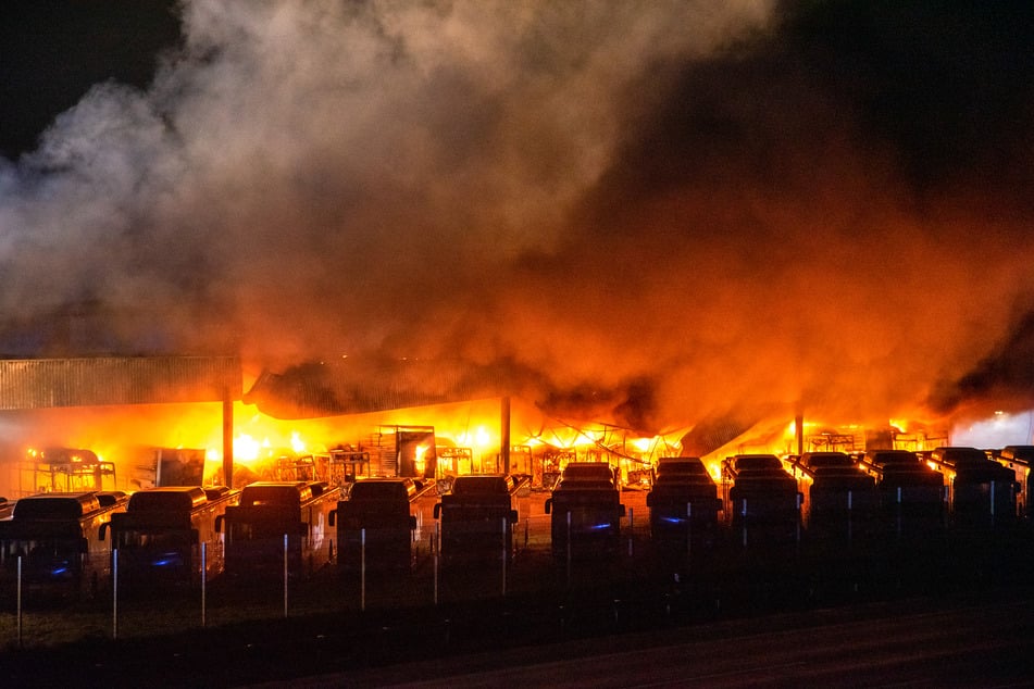 Etliche Busse standen in der Nacht in Flammen.