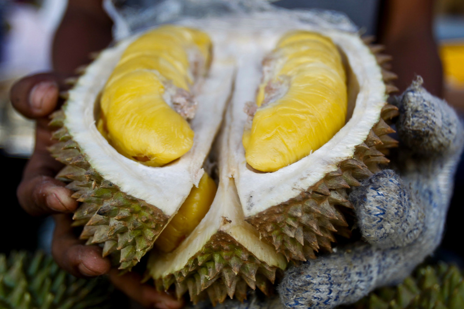 Die Durian-Frucht hat einen sehr "eigenen" Geruch.