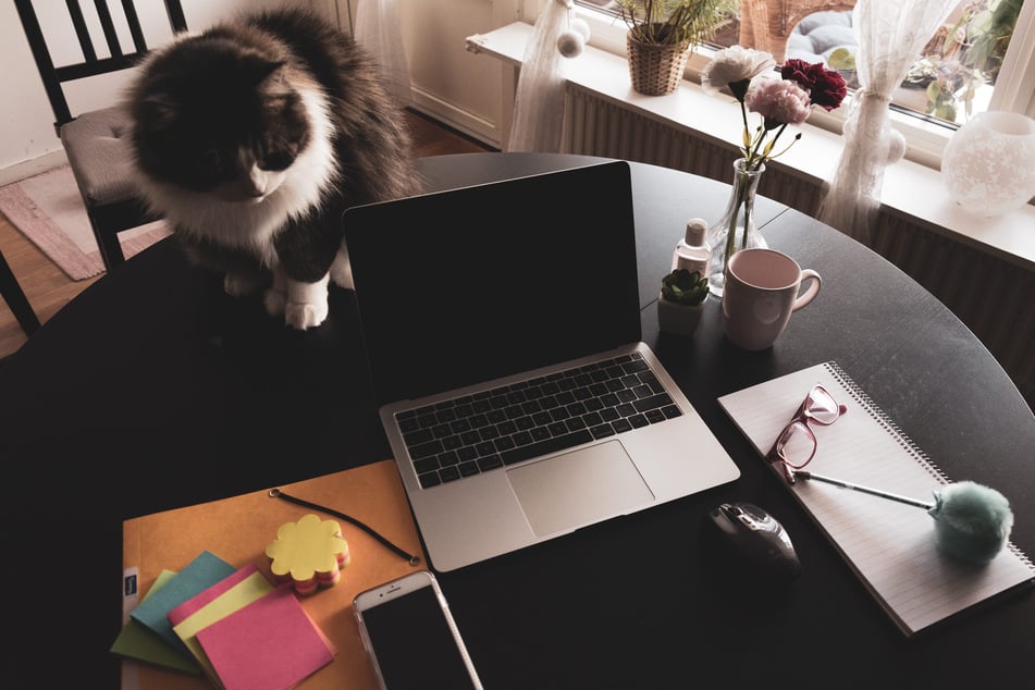 Im Homeoffice lässt sich die Arbeitsumgebung besser an die eigenen Bedürfnisse anpassen - eine Flexibilität, die für viele einen entscheidenden Unterschied machen kann. (Symbolfoto)