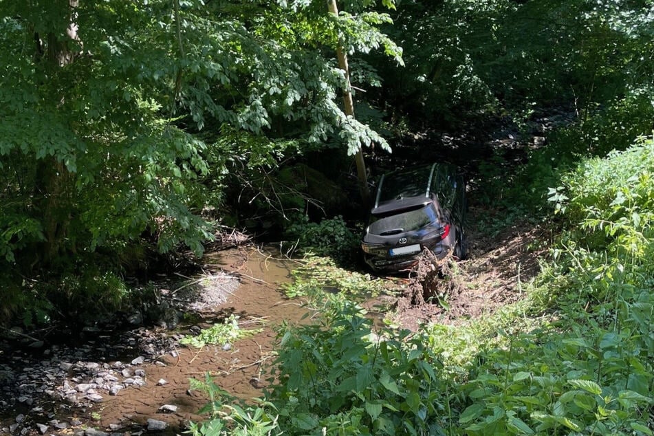Das Auto kam erst im Flussbett zum Stehen.