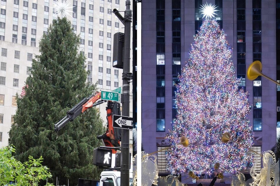 This year's Rockefeller Christmas Tree waiting to be lit (l.) and last year's tree (r.).