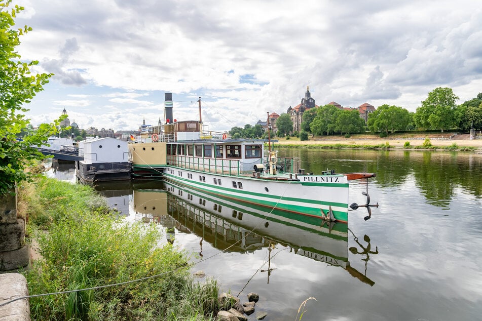 Noch führt die Elbe zu wenig Wasser. Die Weiße Flotte kann daher nur ein deutlich reduziertes Programm fahren.
