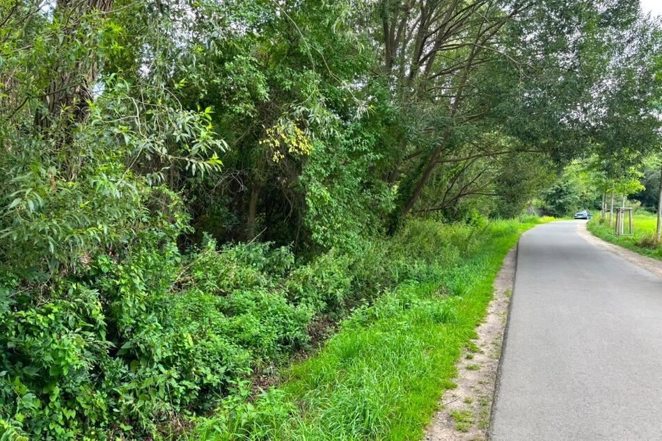 Mit einem Kabelbinder um den Hals wurde die 32-Jährige laut den Forensikern noch lebend in den kleinen Fluss geworfen.