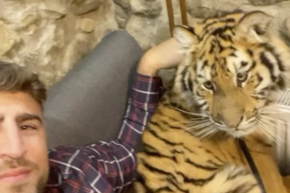In dem Video-Clip auf Instagram posiert ein Mitglied des Remmo-Clans mit einem Tigermädchen auf der Couch.