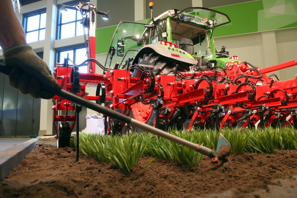 Die Zahl der Arbeitskräfte außerhalb der Familie stieg in der Landwirtschaft laut Statistik binnen zehn Jahren um 7100 auf 25.400. (Symbolbild)