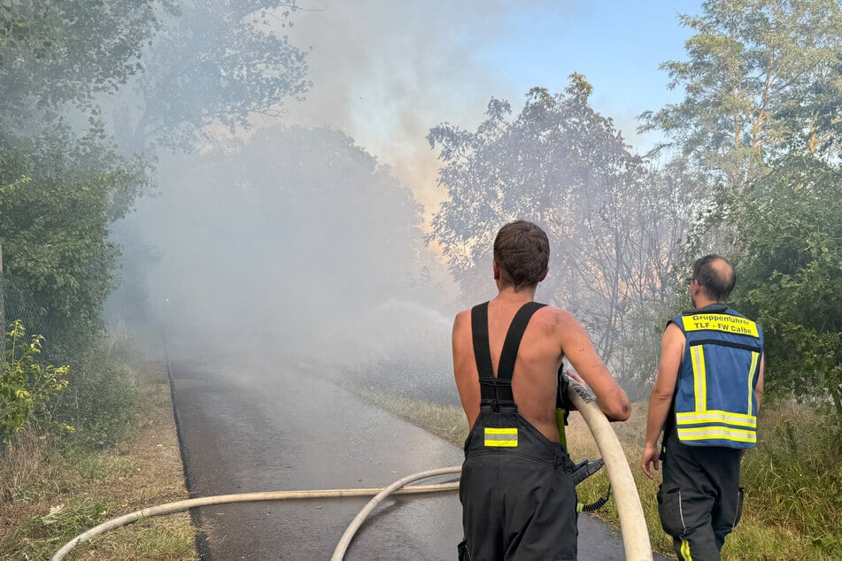 Mehrere Einsatzkräfte wurden verletzt.