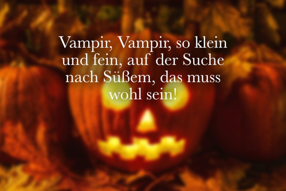 Vampir, Vampir, so klein und fein, auf der Suche nach Süßem, das muss wohl sein!