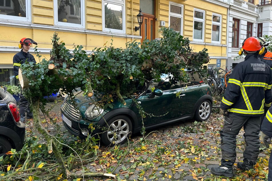 In Eimsbüttel krachte ein Baum auf ein parkendes Fahrzeug.