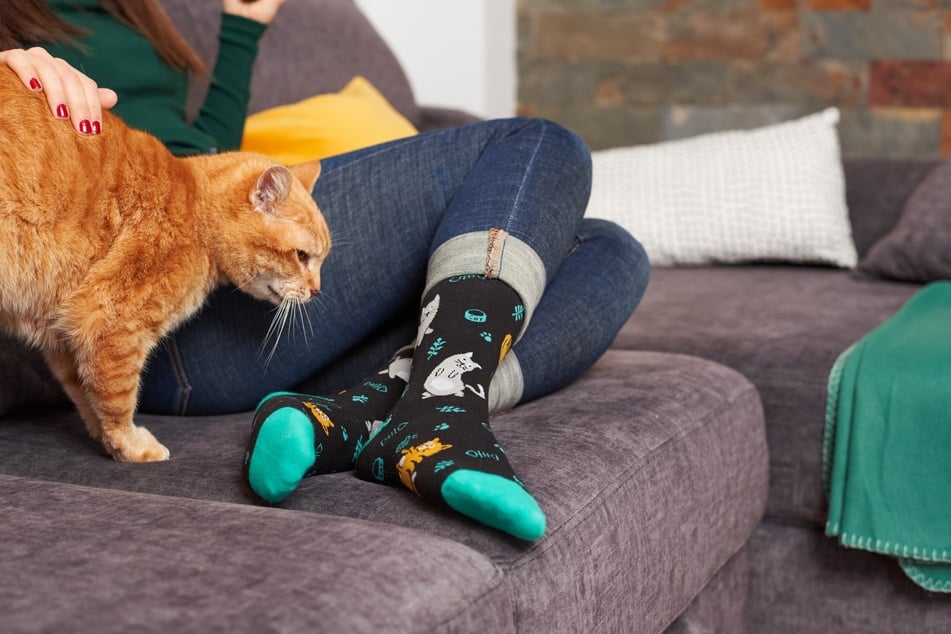 Tolle Katzen-Geschenke gibt es einige - ob Schmuck, Deko oder süße Katzen-Socken.