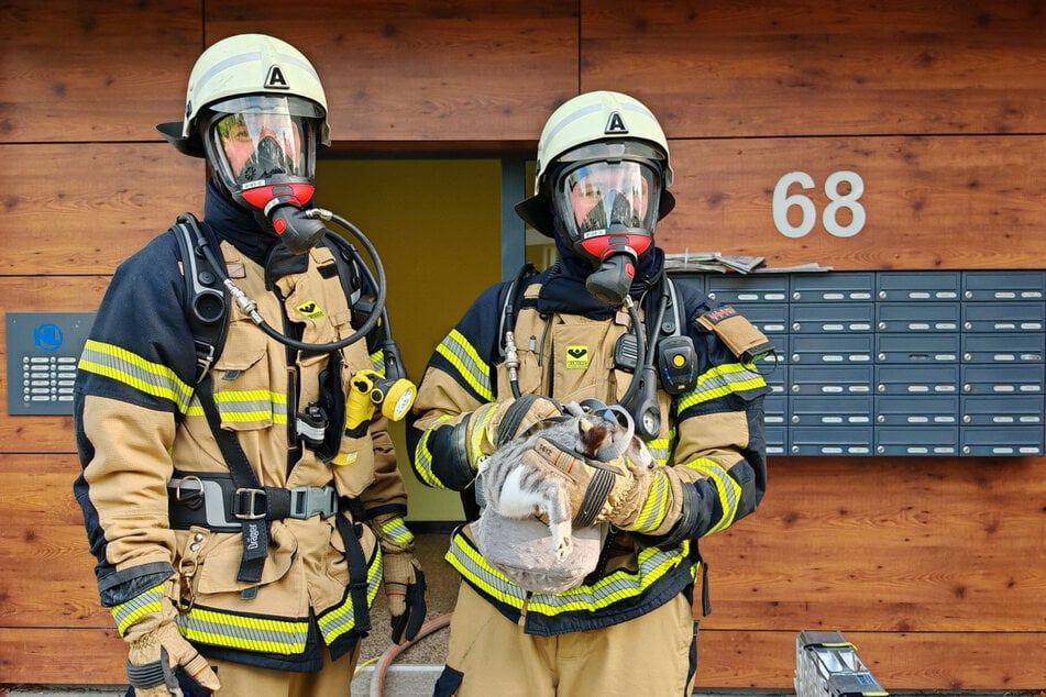 Die Feuerwehr konnte die verängstigte Katze rechtzeitig aus der verrauchten Wohnung retten.
