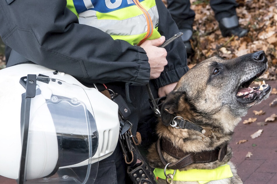 Tierschutz: NRW-Polizeihunde dürfen vorerst weiterschnüffeln