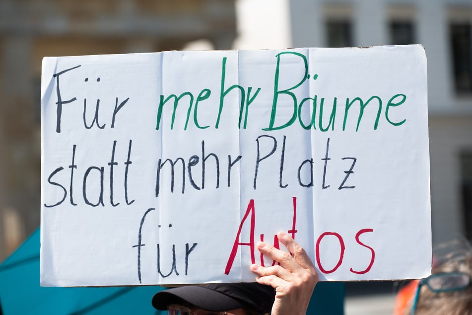 Berlin soll per "BäumePlus-Gesetz" grüner werden.