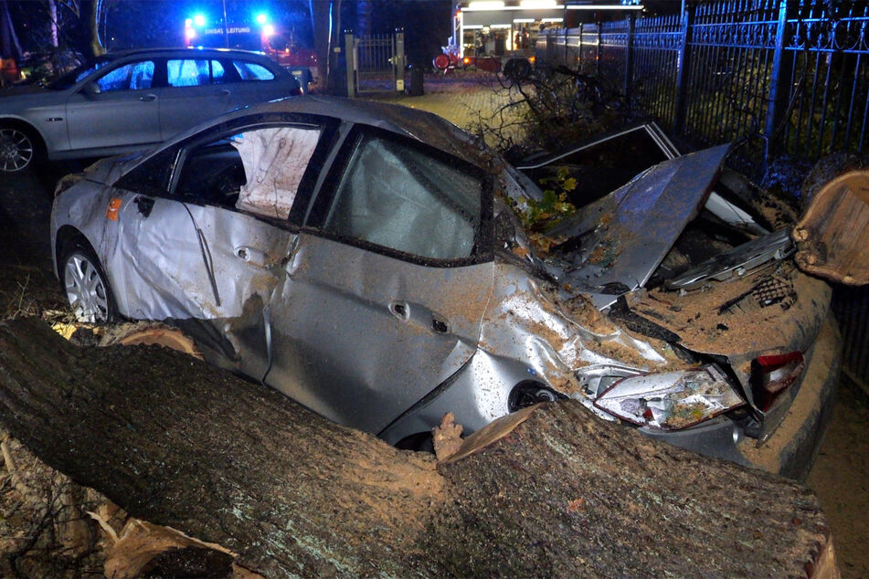 In Oyten ist am Donnerstagnachmittag ein Baum auf ein gerade ausparkendes Auto gefallen. Die Fahrerin hatte Riesenglück.