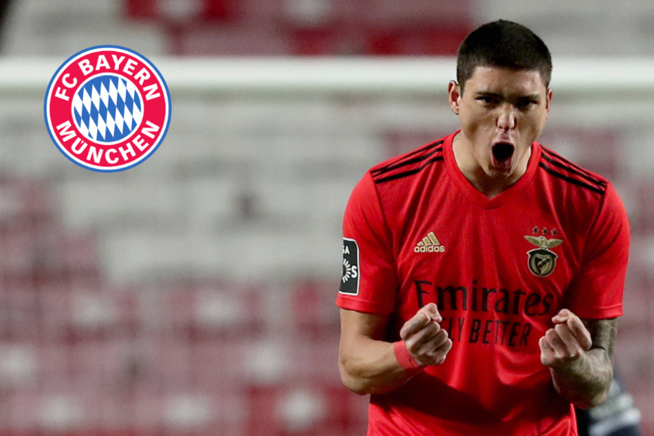 Benfica-Granate zum FC Bayern? 150-Millionen-Youngster wohl im Visier der Bosse